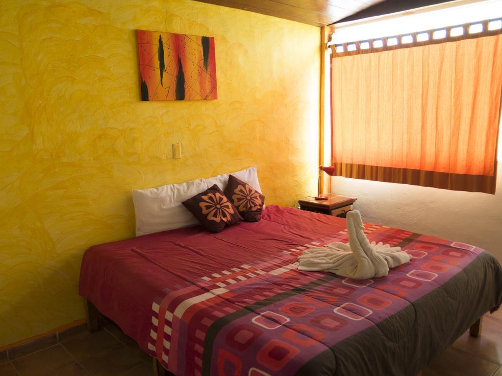 Hotel El Hormiguero Playa del Carmen Værelse billede