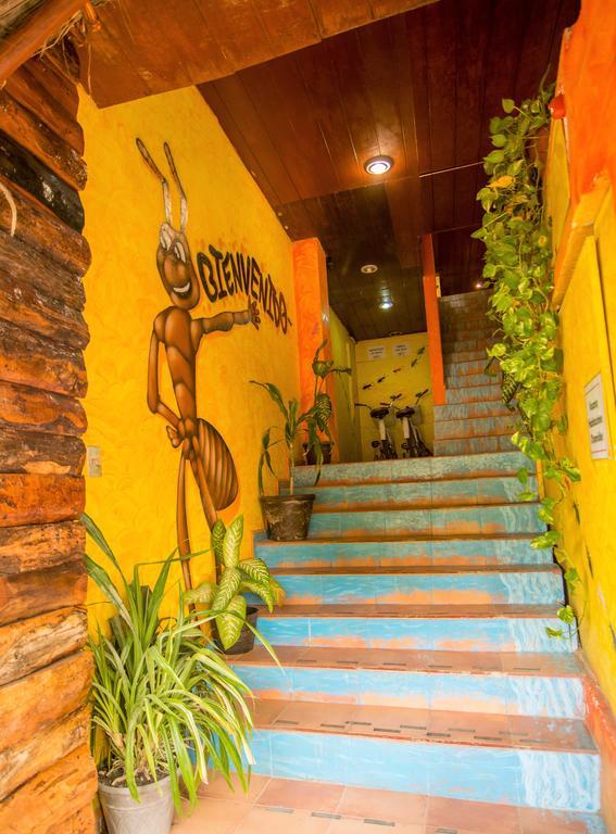 Hotel El Hormiguero Playa del Carmen Eksteriør billede